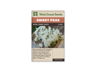Sachet West Coast Seeds Royal Family White avec des fleurs blanches de pois de senteur posées dans un panier tressé. Les pétales clairs se chevauchent et montrent de légers plis. Quelques boutons et petites tiges vertes apparaissent entre les corolles. La texture brune du panier forme un contraste doux derrière le groupe de fleurs.