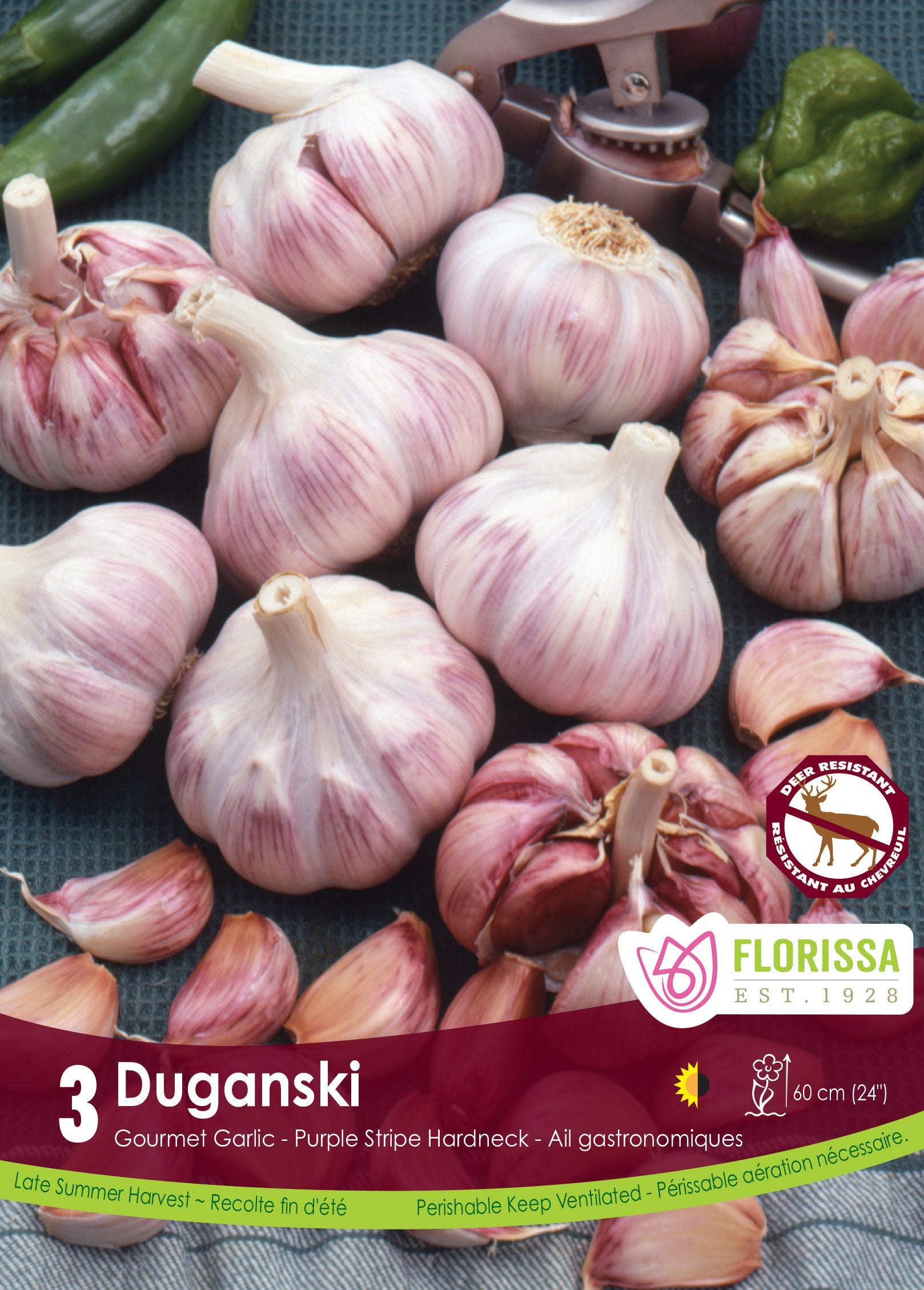 Ail Duganski (<em>Allium sativum var. ophioscorodon</em> ‘Duganski’)