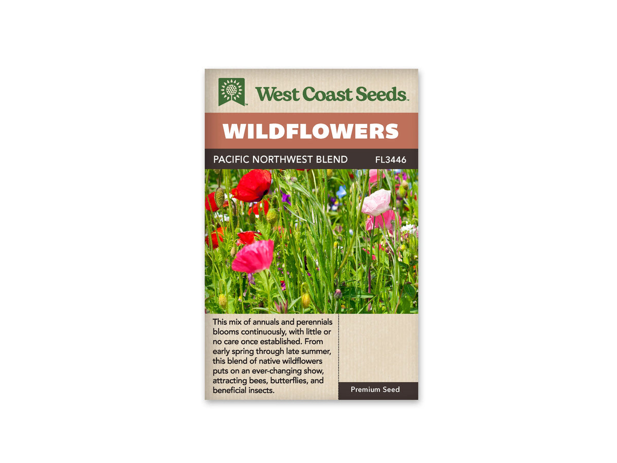 Sachet West Coast Seeds Pacific Northwest Blend montrant des fleurs rouges, roses et blanches parmi de nombreuses tiges vertes. Plusieurs boutons allongés restent fermés entre les corolles. De petites touches bleues et violettes apparaissent plus loin dans la plantation. La photo présente une scène lumineuse, avec des fleurs réparties à différentes hauteurs.