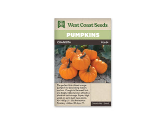 Sachet Orangita de West Coast Seeds avec une bande vert pâle et le nom sur fond sombre. La photo montre un groupe de petites citrouilles orange, aplaties et fortement côtelées, munies de pédoncules foncés. Elles sont réunies sur une terre sèche et fissurée, avec des feuilles en arrière-plan. Une zone beige portant du texte apparaît sous la photo.