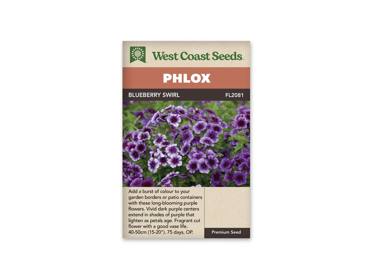 Sachet Blueberry Swirl de West Coast Seeds sur fond blanc. La photo montre de nombreux petits bouquets de fleurs violettes, avec un centre foncé et des bords plus clairs, parfois presque blancs. Plusieurs boutons et des feuilles vertes entourent les fleurs ouvertes. Le bandeau orange indique Phlox et la bande brune porte Blueberry Swirl ainsi que le code FL2081.