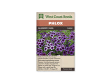 Sachet Blueberry Swirl de West Coast Seeds sur fond blanc. La photo montre de nombreux petits bouquets de fleurs violettes, avec un centre foncé et des bords plus clairs, parfois presque blancs. Plusieurs boutons et des feuilles vertes entourent les fleurs ouvertes. Le bandeau orange indique Phlox et la bande brune porte Blueberry Swirl ainsi que le code FL2081.