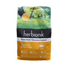 Fast Germinating Grass Seeds - Sunny