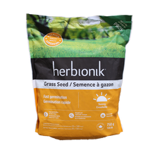 Fast Germinating Grass Seeds - Sunny