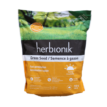 Fast Germinating Grass Seeds - Sunny