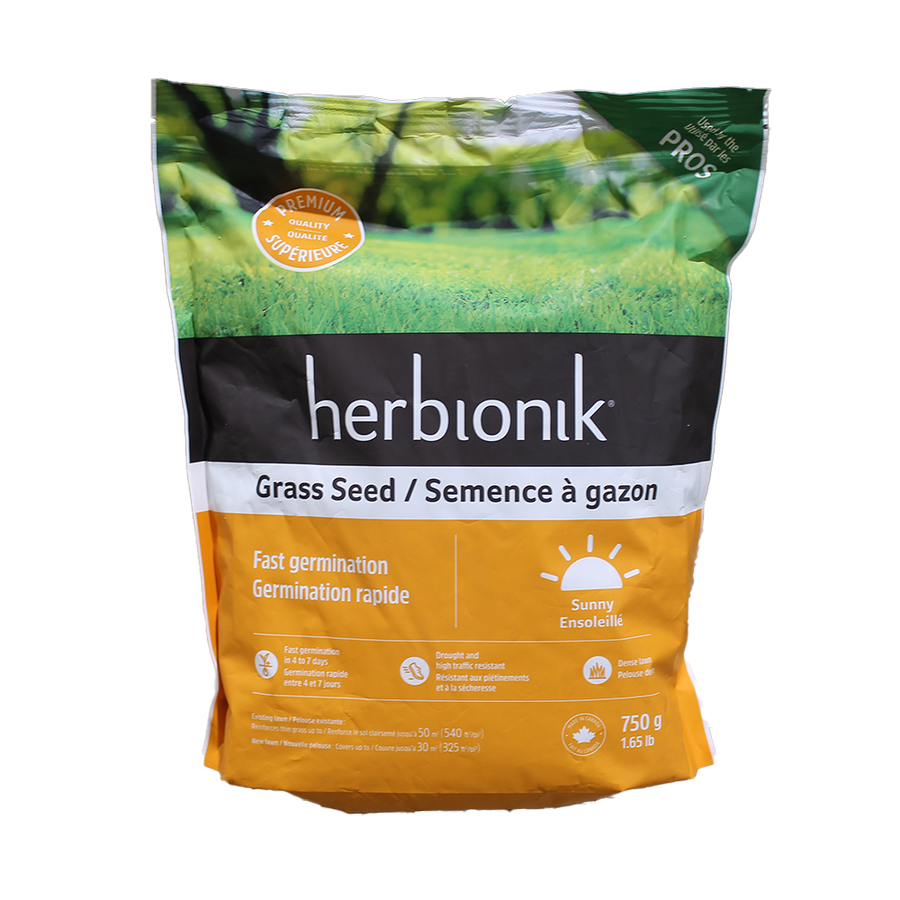 Fast Germinating Grass Seeds - Sunny