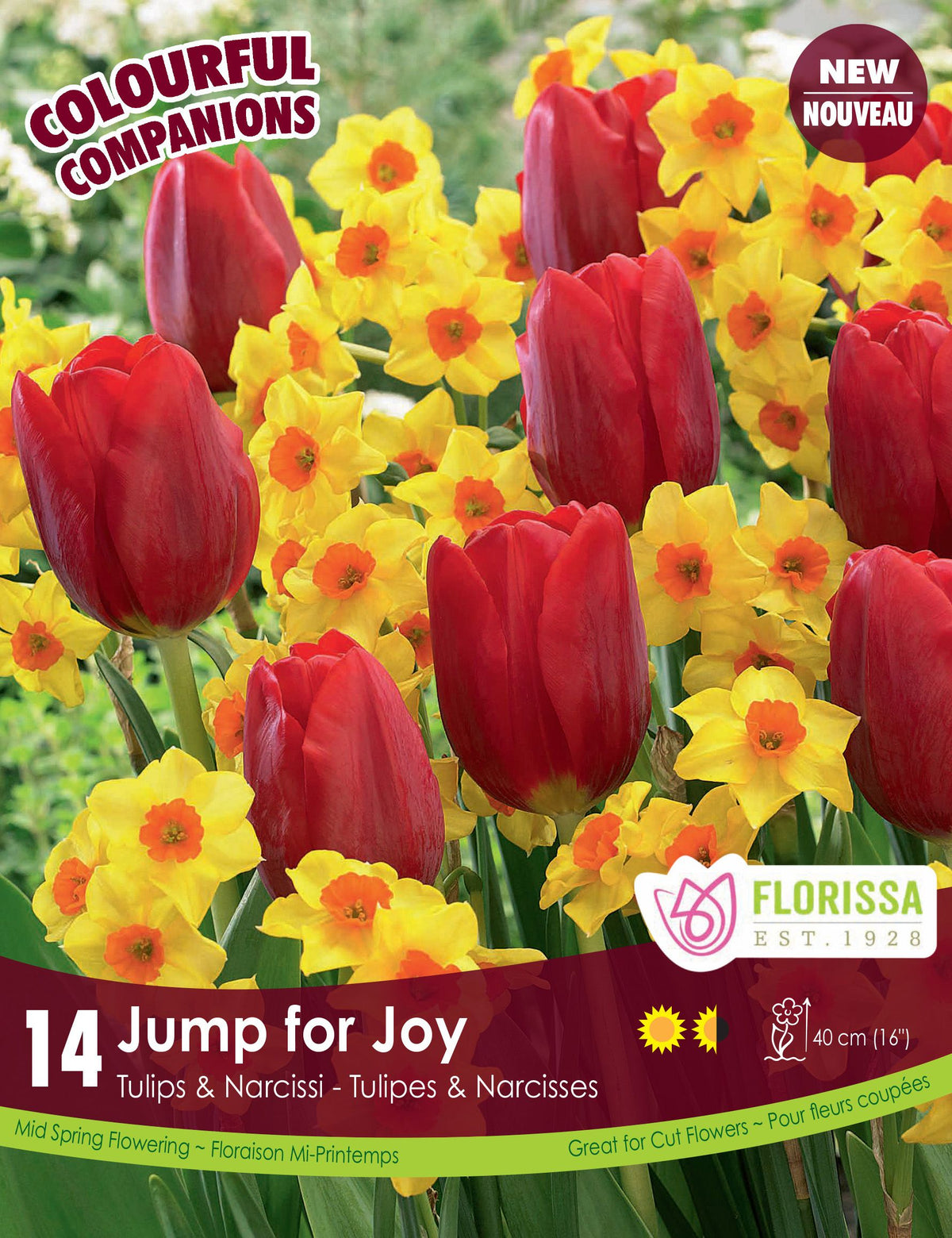 Harmonie florale Jump for Joy ( Tulipa spp. et Narcissus spp.) : des tulipes rouges parmi des narcisses jaunes à centre orange. Le visuel Florissa présente la plante et son nom dans la partie inférieure de l’étiquette. La photographie occupe presque toute la surface, tandis que le bandeau du bas rassemble les indications du produit. Cette vue permet de reconnaître son apparence et de distinguer la variété présentée.