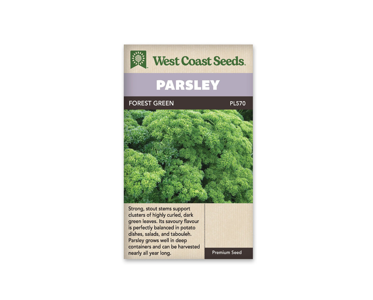 Sachet de persil Forest Green West Coast Seeds présenté de face sur fond blanc. La photographie montre un feuillage vert dense, formé de nombreux bouquets de feuilles finement frisées. Le bandeau mauve porte PARSLEY, et FOREST GREEN apparaît sur la bande foncée. Une description en anglais se trouve dans la partie beige inférieure du sachet.