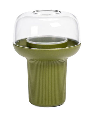 Plant Humidarium – Modern Design Terrarium