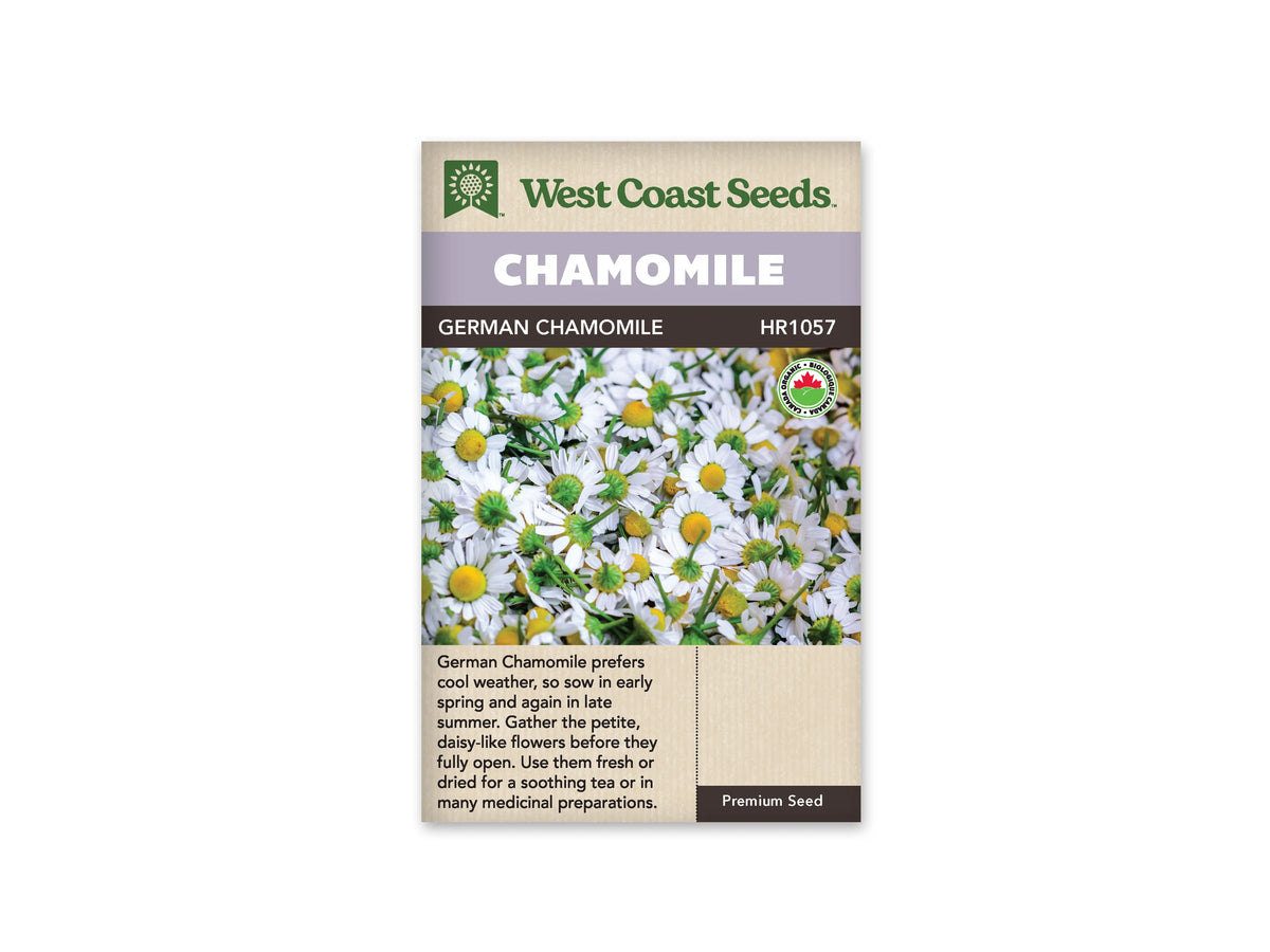 Sachet de camomille allemande West Coast Seeds sur fond blanc. L’image centrale montre de petites fleurs aux pétales blancs et aux centres jaunes, avec un feuillage vert fin en arrière-plan. Le haut du sachet porte le nom CHAMOMILE dans un bandeau mauve. Le bas beige présente du texte en anglais et un symbole de certification biologique.