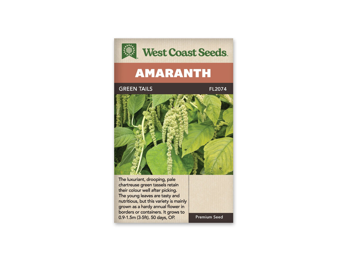 Sachet d’amarante Green Tails de West Coast Seeds sur fond blanc. La photographie présente plusieurs cordons floraux vert clair, pendants et granuleux, parmi de grandes feuilles vertes. Le bandeau Amaranth surmonte le nom Green Tails et la référence FL2074. Des indications en anglais sont imprimées dans la partie beige inférieure de l’emballage.
