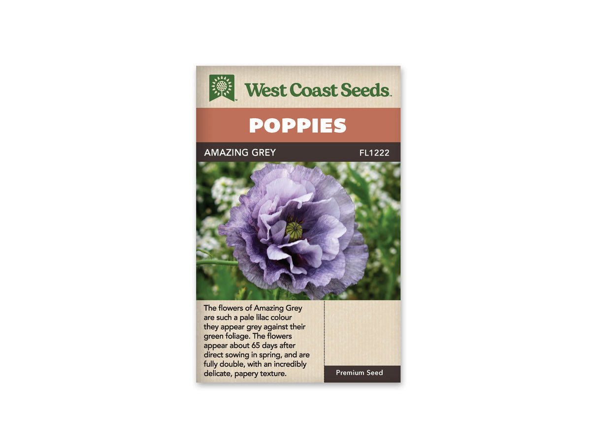 Sachet Amazing Grey de West Coast Seeds sur fond blanc. La photo montre une grande fleur mauve grisée avec plusieurs rangs de pétales froissés. Un centre vert strié se voit entre les pétales, devant des tiges vertes et de petites fleurs blanches floues. Le bandeau orange indique Poppies et la bande brune porte Amazing Grey, code FL1222.