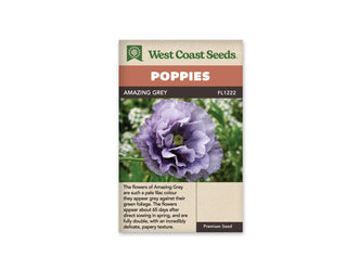 Sachet Amazing Grey de West Coast Seeds sur fond blanc. La photo montre une grande fleur mauve grisée avec plusieurs rangs de pétales froissés. Un centre vert strié se voit entre les pétales, devant des tiges vertes et de petites fleurs blanches floues. Le bandeau orange indique Poppies et la bande brune porte Amazing Grey, code FL1222.
