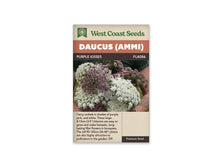 Sachet Purple Kisses de West Coast Seeds sur fond blanc. Une personne tient un gros bouquet d’ombelles blanches, rose pâle et pourpres, formées de très petites fleurs. Des tiges vertes se voient entre les têtes. Le bandeau orangé porte Daucus (Ammi), puis la bande brune indique Purple Kisses et la référence FL4086.