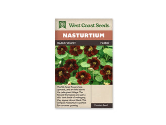 Sachet Black Velvet de West Coast Seeds sur fond blanc. La photo montre plusieurs fleurs brun rouge très foncé, à centre jaune verdâtre, au-dessus de feuilles rondes vert clair. Les pétales présentent des plis et des nuances acajou. Quelques boutons pâles restent fermés. Le bandeau orange indique Nasturtium; la bande brune porte Black Velvet et le code FL3887.