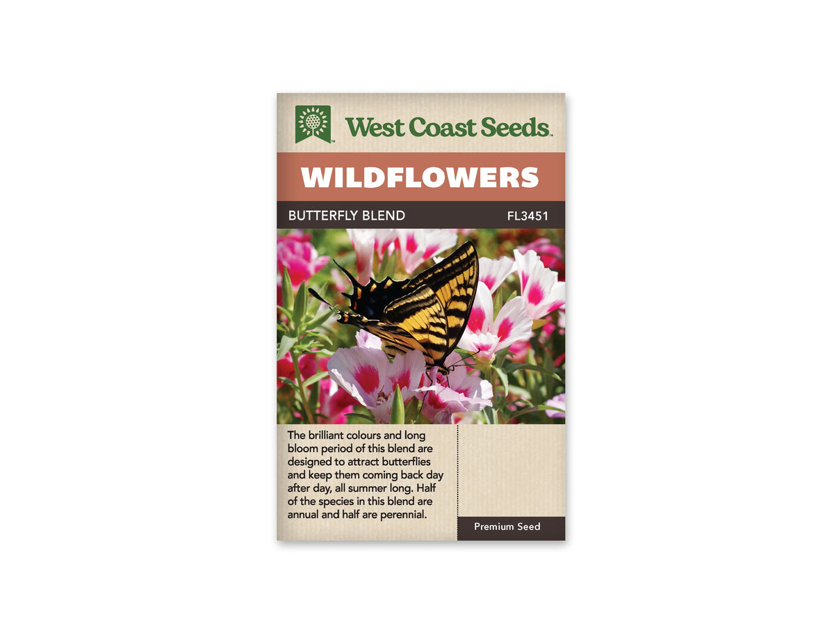 Sachet West Coast Seeds Butterfly Blend montrant un papillon jaune et noir posé sur des fleurs blanches marquées de rose vif. Les ailes relevées présentent des bandes sombres et des prolongements fins vers l’arrière. Des tiges et des feuilles vertes entourent les corolles. Le papillon occupe le centre de la photo, devant les fleurs rapprochées.