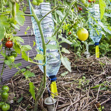 Iriso X4 Drip Spike – Self-watering Drip System