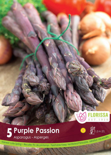 Asperge 'Purple Passion'