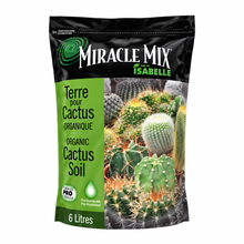 Terreau pour cactus et succulentes Miracle Mix – 6 L sur fond blanc pur