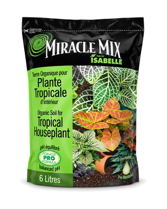 Terreau pour plantes tropicales Miracle Mix – 6 L sur fond blanc pur