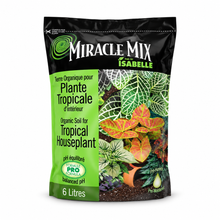 Terreau pour plantes tropicales Miracle Mix – 6 L sur fond blanc pur