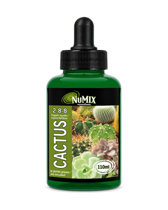 Engrais liquide pour cactus et succulentes NuMix 2-8-8 – 110 ml sur fond blanc pur