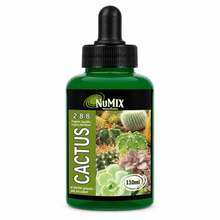 Engrais liquide pour cactus et succulentes NuMix 2-8-8 – 110 ml sur fond blanc pur