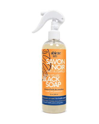 Savon noir prêt à l'emploi Abieze Lab à l'huile de caméline – 355 ml sur fond blanc pur