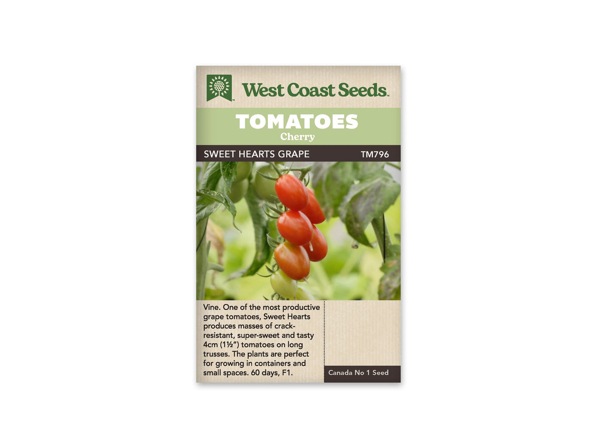 Sachet West Coast Seeds portant les mentions Tomatoes et Sweet Hearts Grape. La photo montre plusieurs tomates rouges allongées attachées à une fine tige verte, devant un feuillage clair. Le nom de la variété apparaît sur une bande foncée avec la référence TM796. Le logo vert de la marque est placé en haut du sachet.