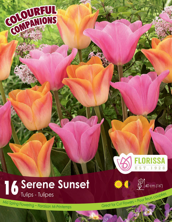 Harmonie Florale – Serene Sunset
