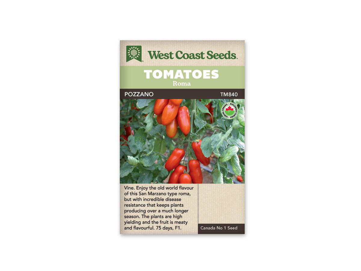 Sachet West Coast Seeds portant les mentions Tomatoes, Roma et Pozzano. La photo montre plusieurs bouquets de tomates rouges allongées, suspendus à des tiges parmi de nombreuses feuilles vertes. Quelques fruits sont encore orange. Un logo biologique rond apparaît à droite. Le nom et le code TM840 figurent sous les bandeaux verts de la marque.