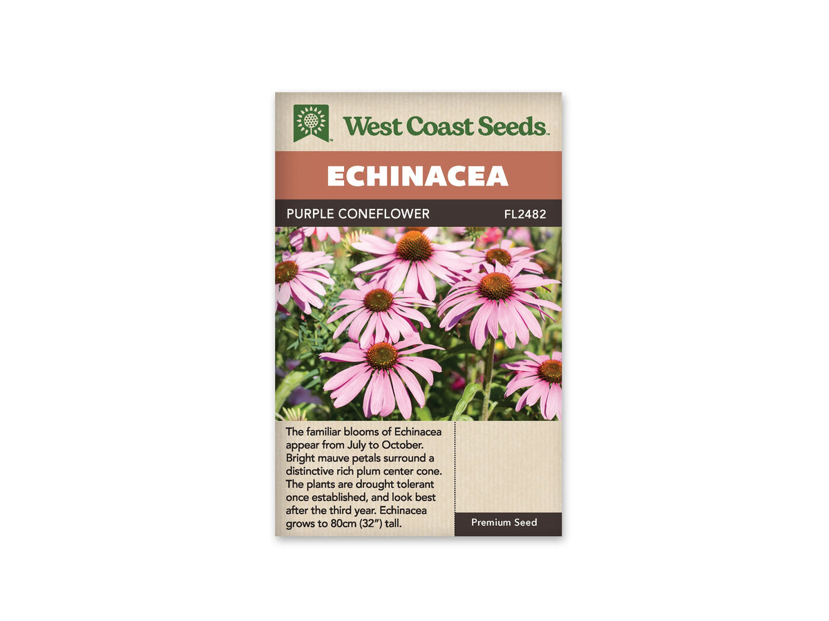 Sachet Purple Coneflower de West Coast Seeds sur fond blanc. La photo montre des fleurs rose mauve aux longs pétales qui entourent des cônes bruns et orangés. Les tiges et les feuilles vertes remplissent le fond. Le bandeau orangé porte Echinacea, puis une bande brune affiche Purple Coneflower et le code FL2482.