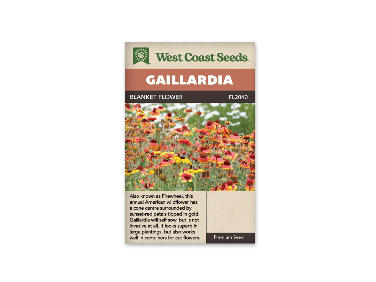 Sachet Blanket Flower de West Coast Seeds sur fond blanc. La photo montre un groupe de gaillardes aux pétales rouges bordés de jaune et aux centres bombés brun rouge. Des boutons ronds et de fines tiges vertes se mêlent aux fleurs. Le bandeau orangé indique Gaillardia; la bande brune porte Blanket Flower et le code FL2040.