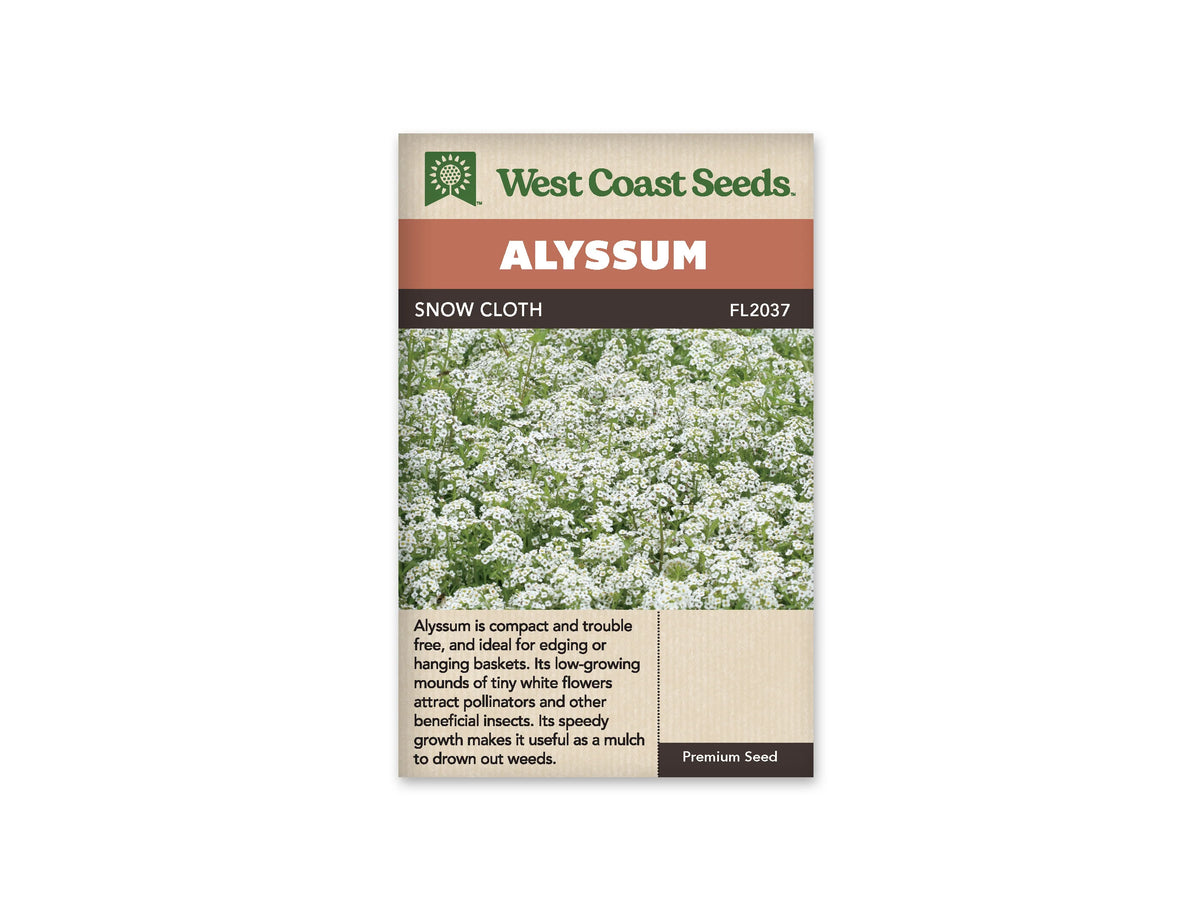 Sachet de semences d’alysse Snow Cloth de West Coast Seeds sur fond blanc. La photo centrale montre une masse de petites fleurs blanches au-dessus de tiges et de feuilles vertes. Le nom Snow Cloth et la référence FL2037 figurent sous le bandeau Alyssum. Des renseignements en anglais sont imprimés au bas de l’emballage beige.