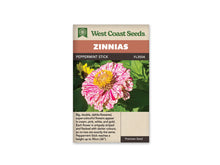 Sachet West Coast Seeds Peppermint Stick, avec une fleur vue de face. Ses pétales blancs sont couverts de fines stries et de taches rose rouge. De petites fleurs jaunes forment un cercle près du centre. De grandes feuilles vertes remplissent le fond, sous les bandeaux orange et brun du sachet.