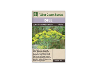 Sachet d’aneth Long Island Mammoth West Coast Seeds présenté de face sur fond blanc. La photographie montre une grande ombelle jaune et verte, bien ouverte au sommet d’une tige dressée. Le bandeau mauve porte le mot DILL. Le nom LONG ISLAND MAMMOTH apparaît sur la bande foncée, au-dessus de l’image et du texte anglais.