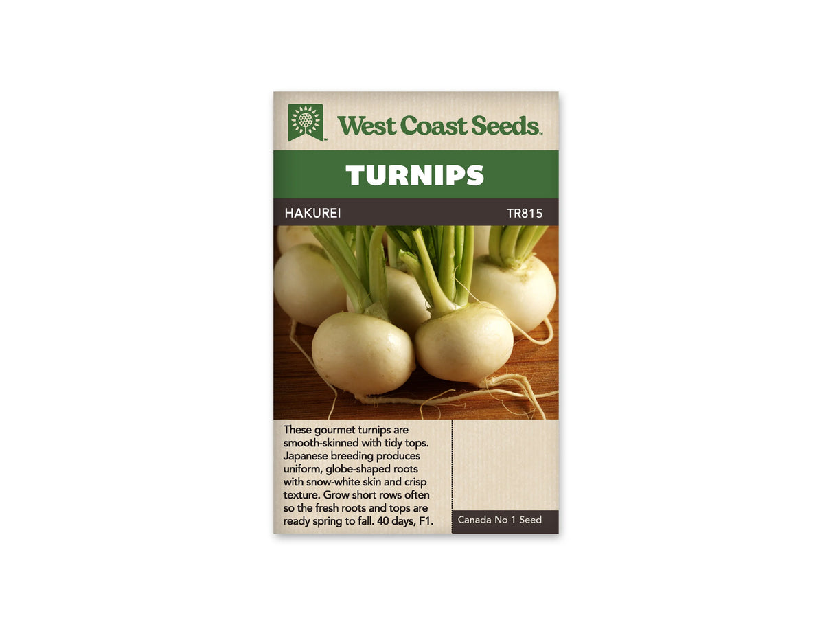 Sachet West Coast Seeds Hakurei illustré de navets blancs ronds posés sur une surface de bois. De fines racines courbées prolongent les bulbes clairs, et des pétioles verts se rejoignent vers le haut. Le nom Hakurei apparaît dans le bandeau brun, au-dessus de la photo et sous le titre blanc sur fond vert.