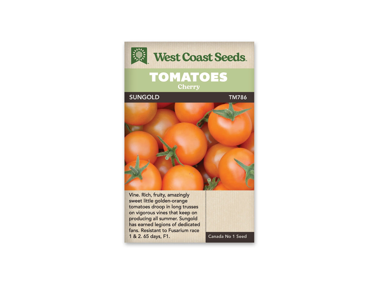 Sachet West Coast Seeds portant les mentions Tomatoes, Cherry et Sungold. La photo présente un groupe de tomates rondes orange vif, dont plusieurs gardent leur petit calice vert. Les fruits remplissent presque toute l’image. Le nom Sungold et la référence TM786 sont inscrits sur une bande foncée, sous le bandeau vert du sachet.