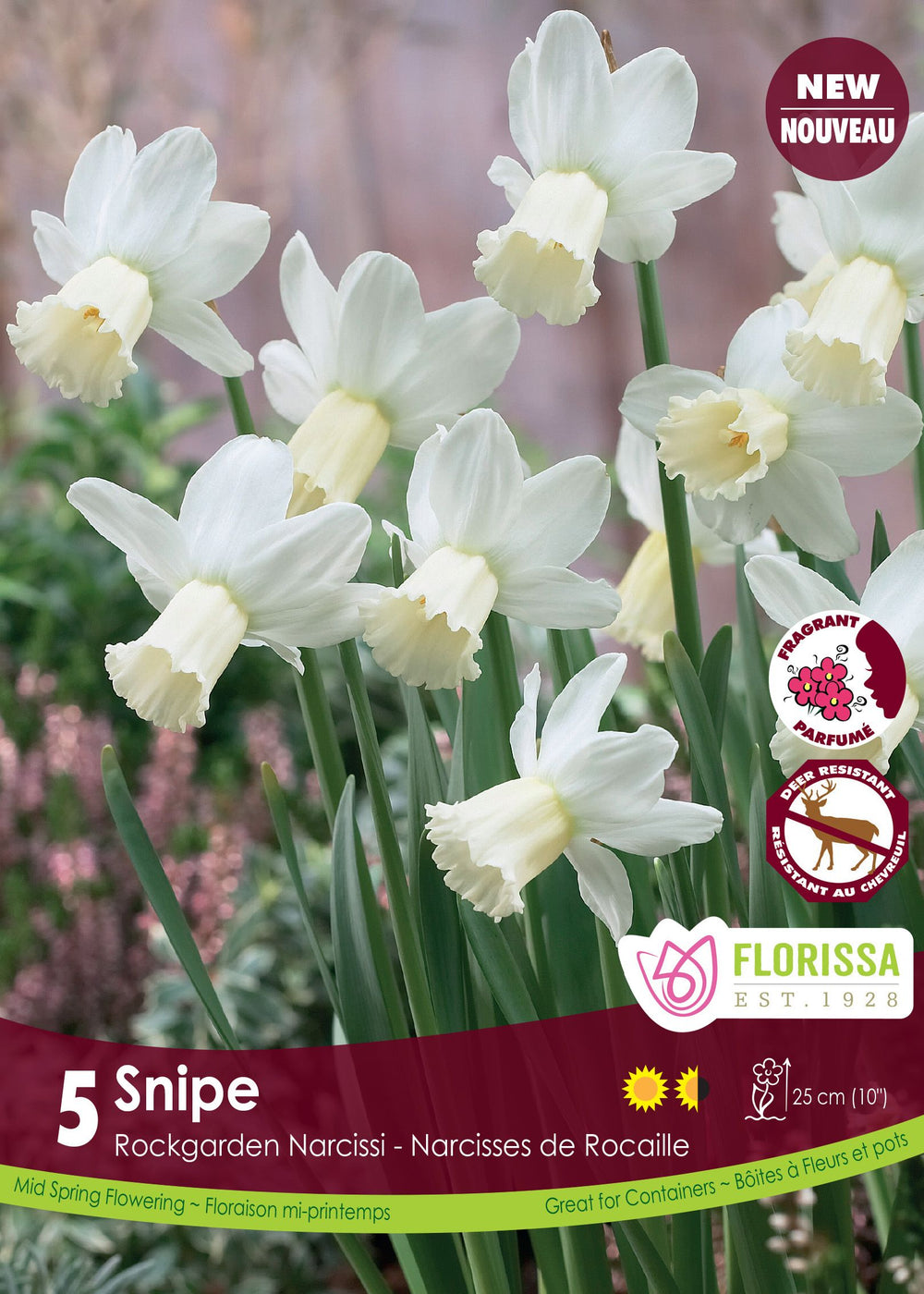 Narcisse Snipe