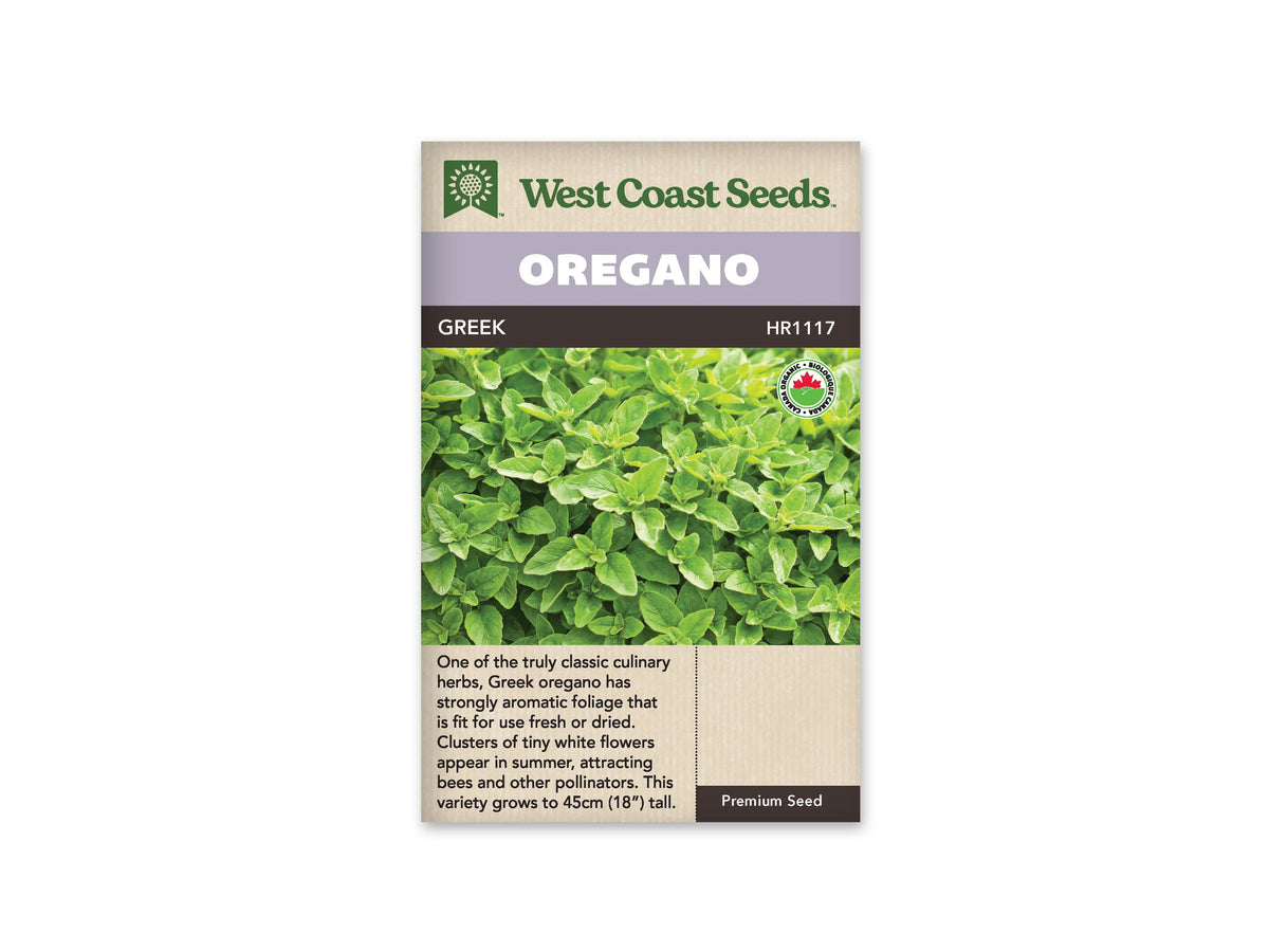 Sachet d’origan grec biologique West Coast Seeds présenté de face sur fond blanc. La photographie montre un feuillage vert dense de petites feuilles ovales. Le bandeau mauve porte OREGANO, et GREEK apparaît sur la bande foncée. Un petit logo biologique est visible près de l’image, au-dessus de la description anglaise dans la partie beige inférieure.