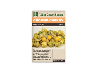 Sachet West Coast Seeds portant la mention Ground Cherry sur un bandeau orange et le nom Aunt Molly’s. La photo montre un tas de petites enveloppes vert beige ouvertes autour de baies rondes jaune doré, sur un fond clair. Le code TM809 apparaît près du nom, sous le bandeau de la marque vert et beige.