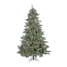 Sapin Las Vegas