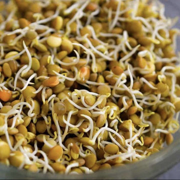 Micropousse de lentille