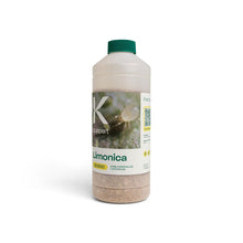 LIMONICA Koppert — Amblydromalus limonicus