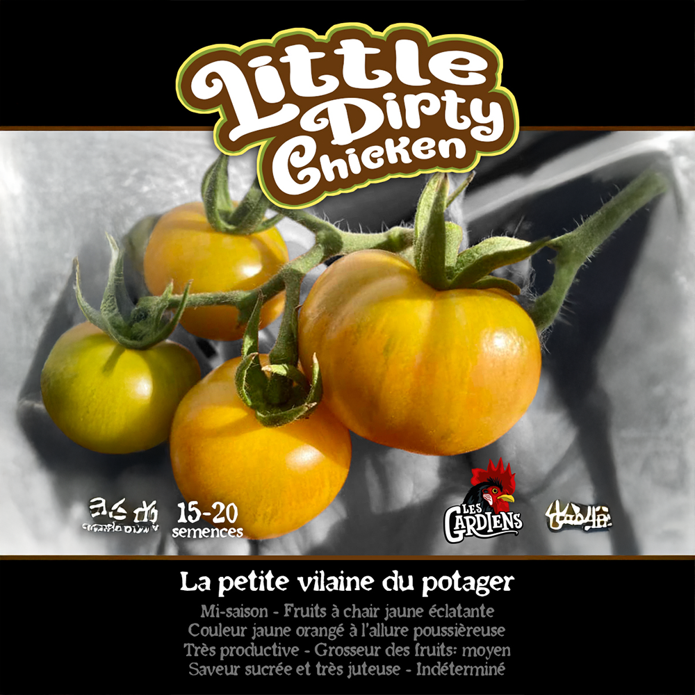 Little Dirty Chicken tomato (<em>Solanum lycopersicum</em> ‘Little Dirty Chicken’)