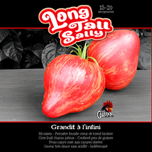 Long Tall Sally tomato (<em>Solanum lycopersicum</em> ‘Long Tall Sally’)