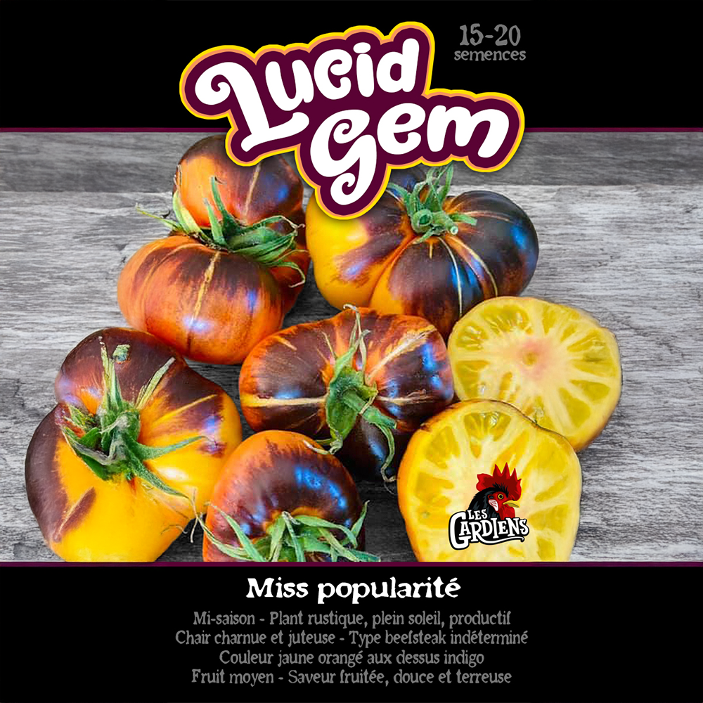 Lucid Gem tomato (<em>Solanum lycopersicum</em> ‘Lucid Gem’)