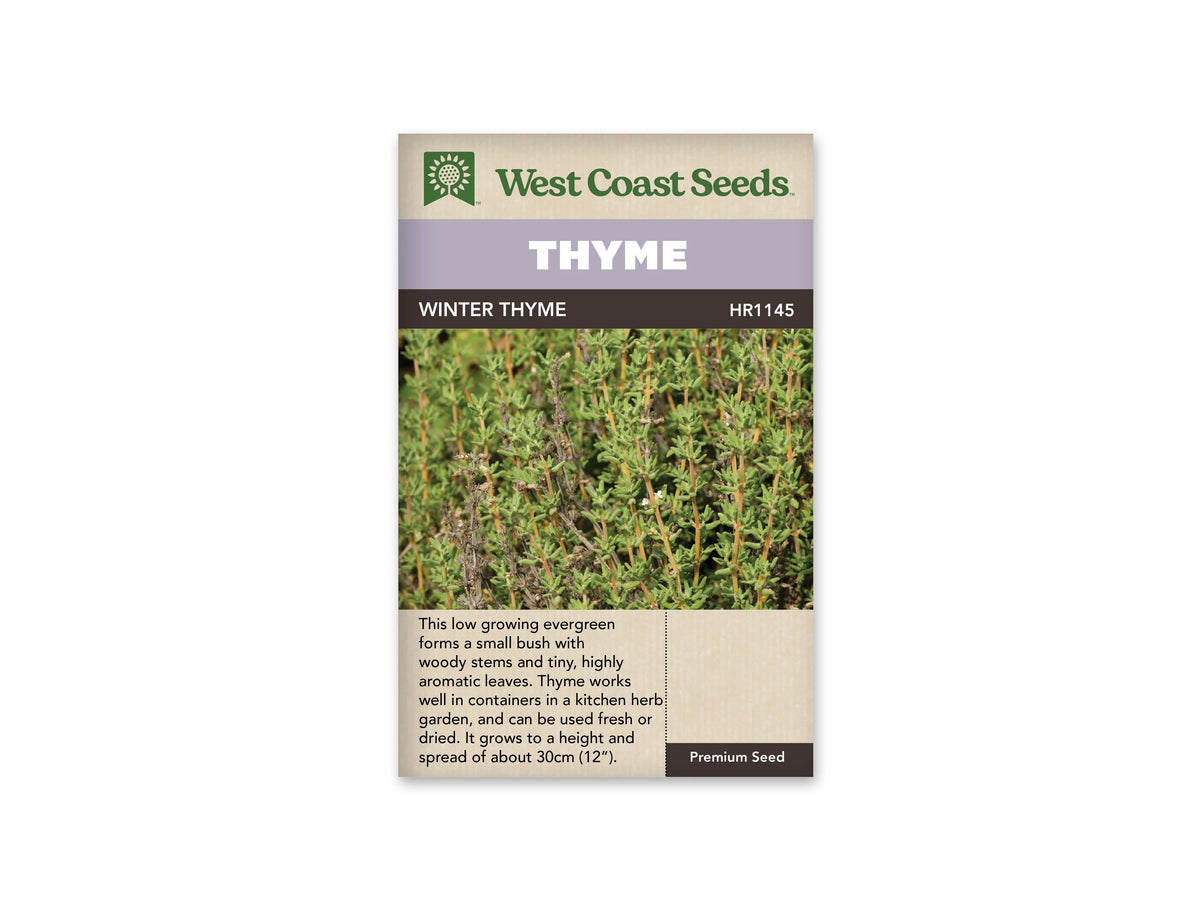 Sachet West Coast Seeds portant les mots Thyme et Winter Thyme. La photo montre un feuillage vert dense, composé de très petites feuilles étroites sur de fines branches. Le nom Thyme est inscrit dans un bandeau mauve. Le logo vert de la marque apparaît en haut, sur le fond blanc du sachet.