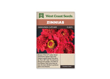 Sachet West Coast Seeds Sanguinea Cupcake montrant plusieurs fleurs rouges sur un fond sombre. Certaines ont un centre dense de petits pétales frisés; une autre laisse voir un disque rouge entouré de petites fleurs jaunes. Le nom apparaît sur le bandeau brun, et un texte descriptif occupe la partie beige au bas.