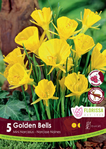 Narcisse ‘Golden Bells’ ( Narcissus bulbocodium ) : de petits narcisses jaunes en forme de cloche évasée. Le visuel Florissa présente la plante et son nom dans la partie inférieure de l’étiquette. La photographie occupe presque toute la surface, tandis que le bandeau du bas rassemble les indications du produit. Cette vue permet de reconnaître son apparence et de distinguer la variété présentée.